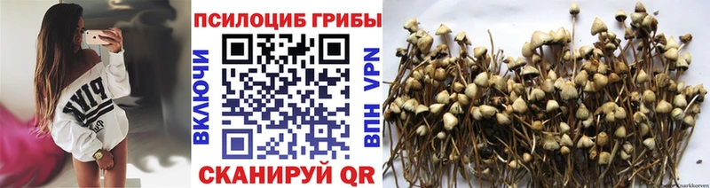 Галлюциногенные грибы GOLDEN TEACHER  Шимановск 